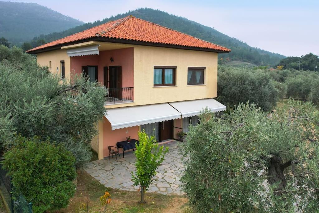 Вилла Olive'S House Скала-Рахониу Экстерьер фото