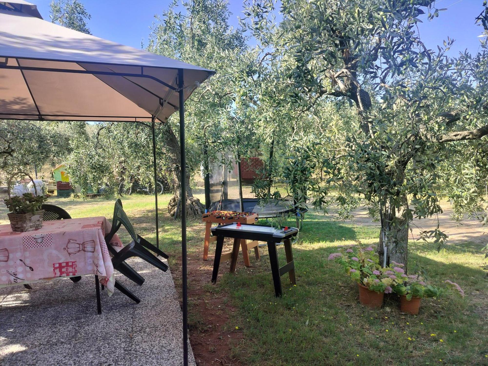Вилла Olive'S House Скала-Рахониу Экстерьер фото